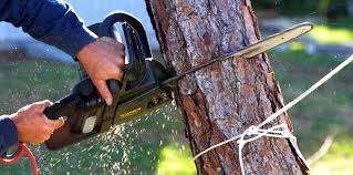 Best Storm Damage Tree Cleanup  in Grill, PA