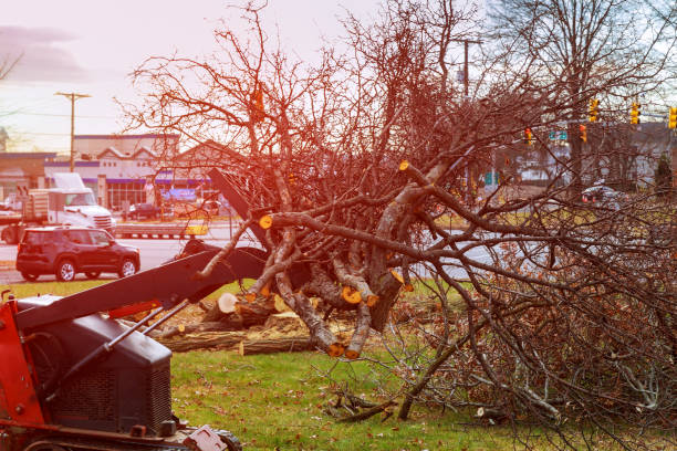 Best Utility Line Clearance  in Grill, PA
